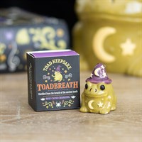 Set of 24 Magic Toad Keepsakes in Display