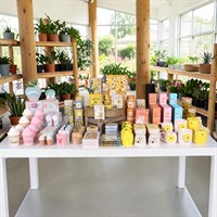The Summer Edit Product Bundle