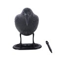 Black Crow-dekoration med markfäste