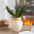 Autumn Plant Pot with Hedgehog