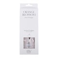 Pack of 10 Orange Blossom Scented Tealights