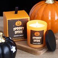 Spooky Spice Cinnamon Candle